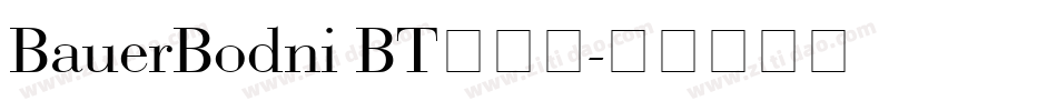 BauerBodni BT转换器字体转换